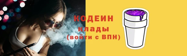 шишки Нягань