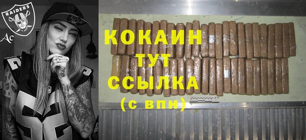 шишки Нягань