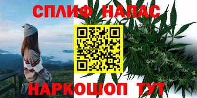 СК Ирбит