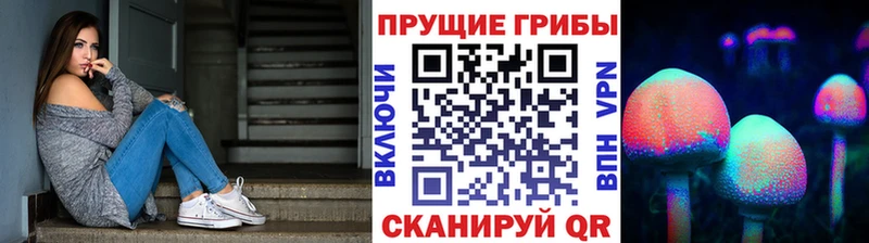 Псилоцибиновые грибы мицелий  Биробиджан 