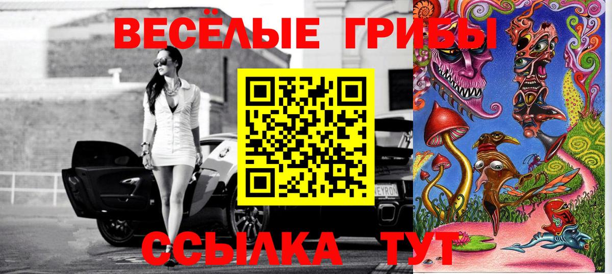 Псилоцибиновые грибы прущие грибы Биробиджан